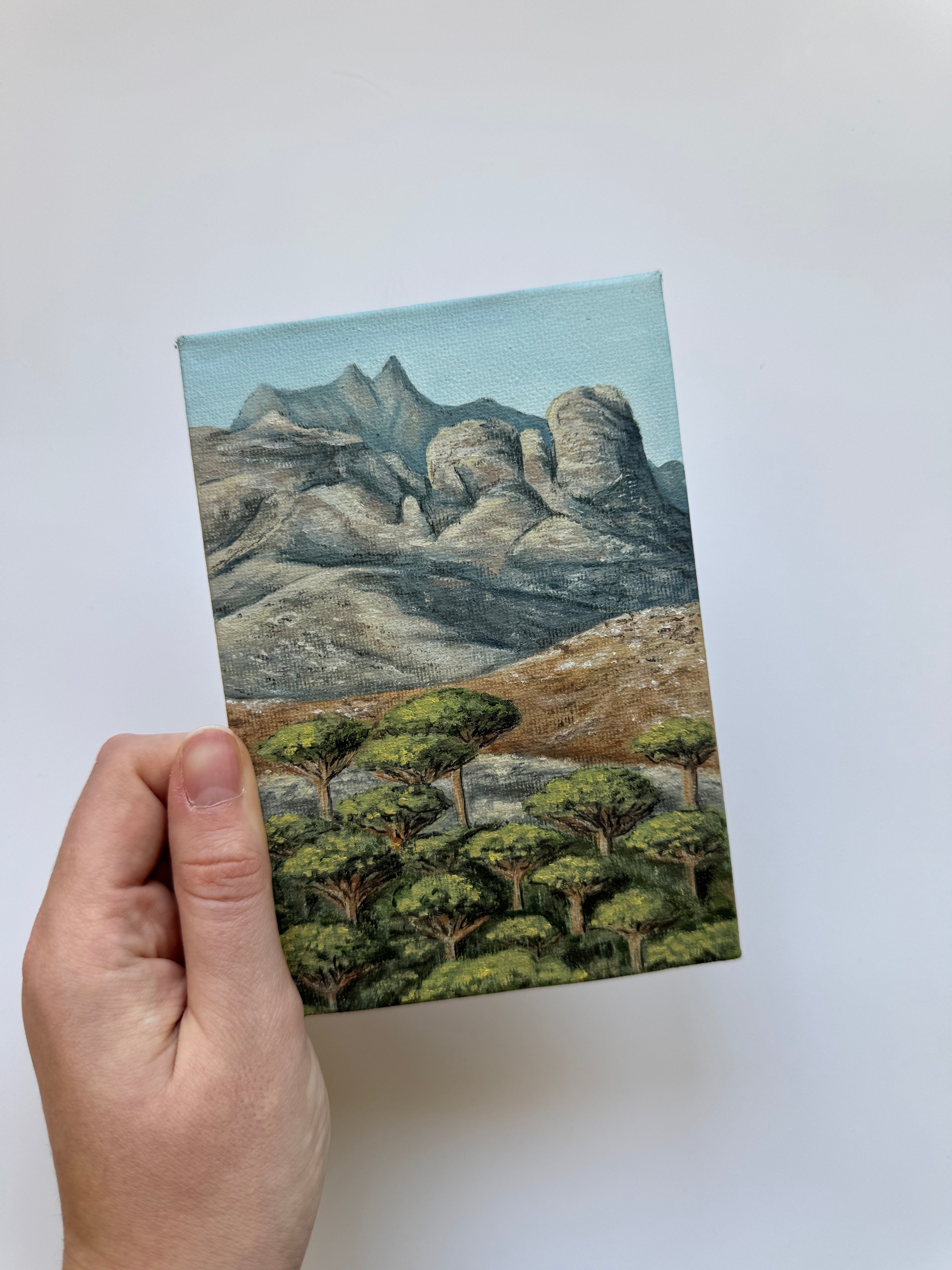 Dragon Blood Trees (Dracaenas), Socotra - 10x15 cm