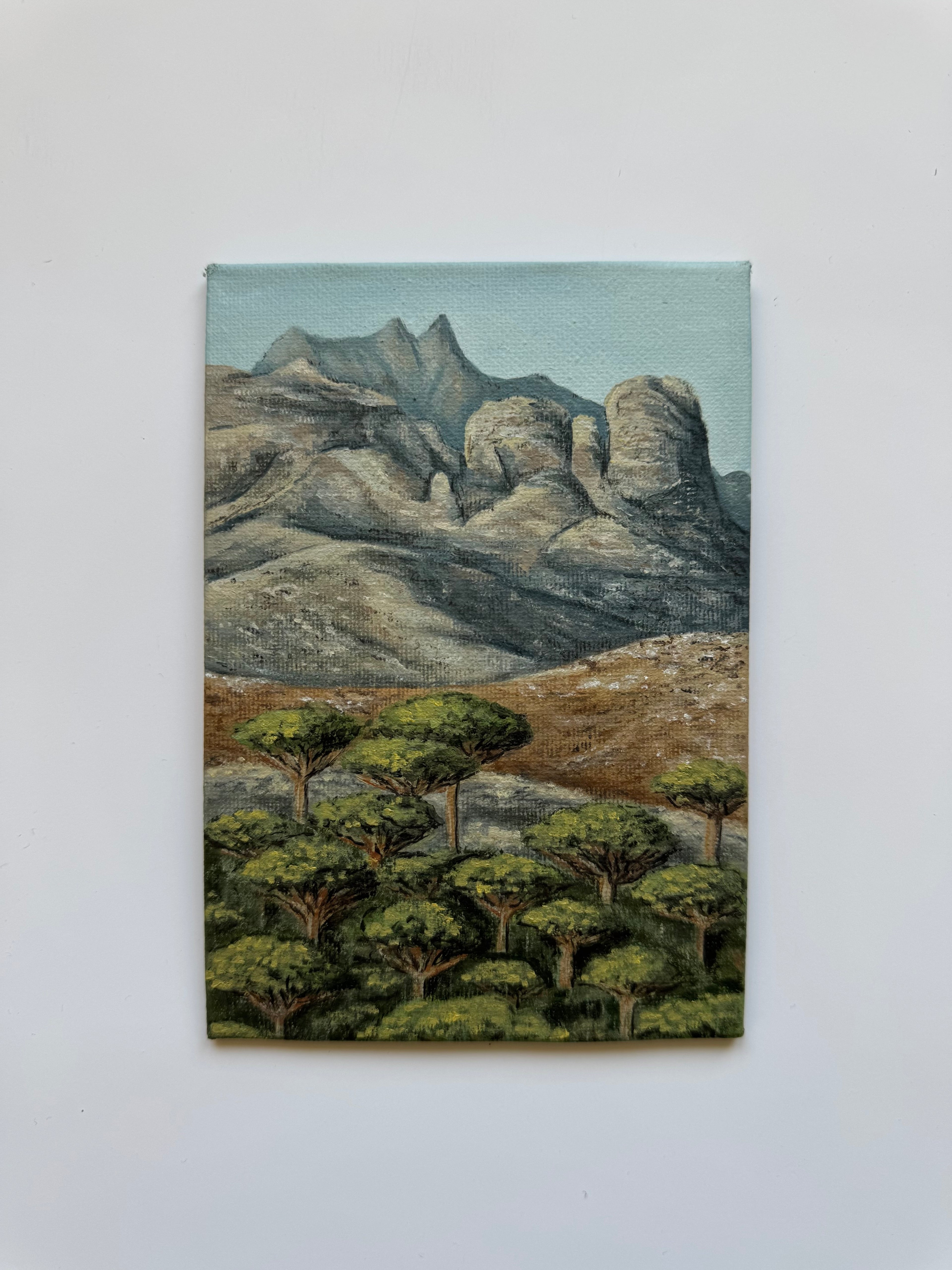 Dragon Blood Trees (Dracaenas), Socotra - 10x15 cm