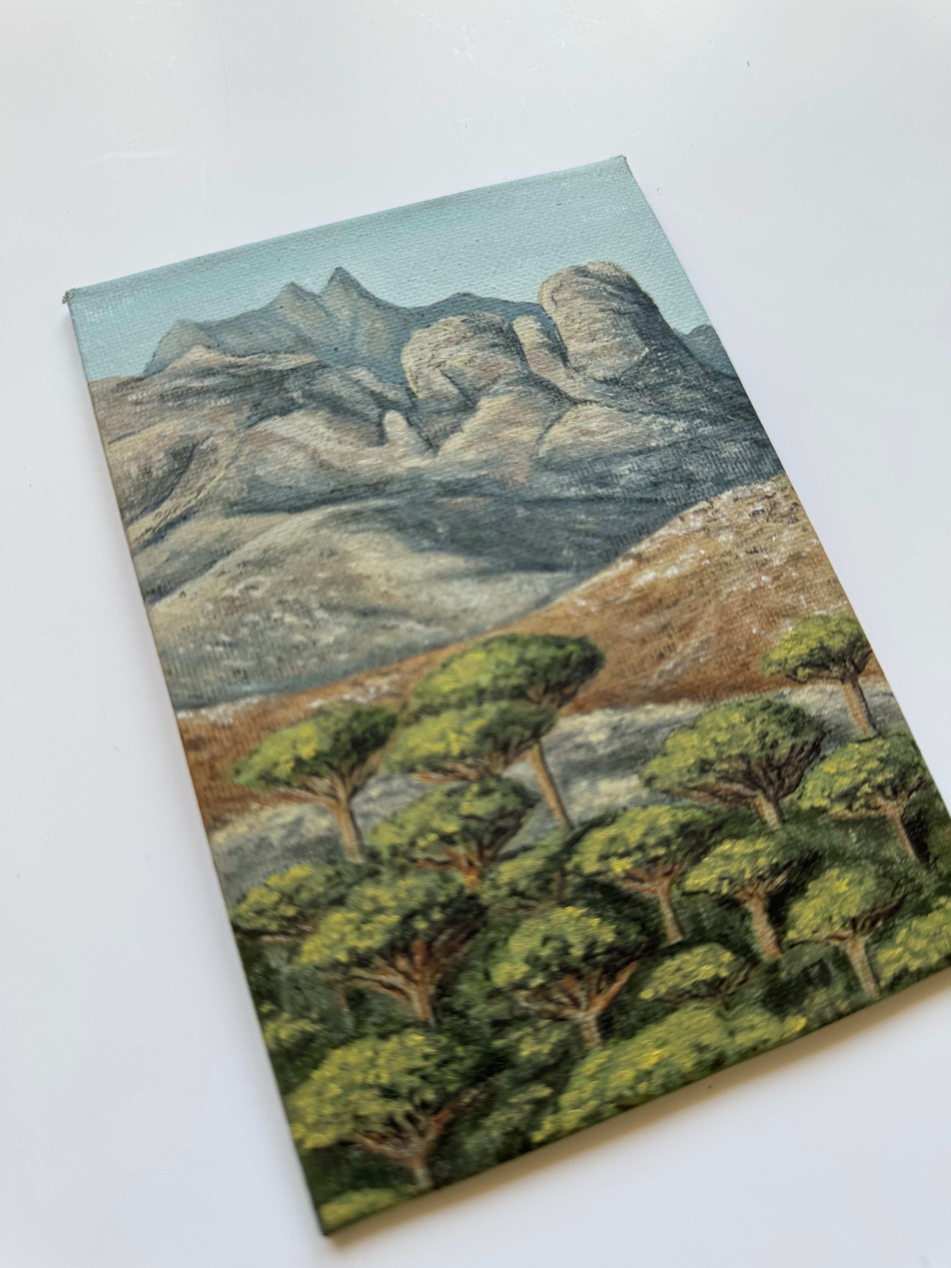 Dragon Blood Trees (Dracaenas), Socotra - 10x15 cm