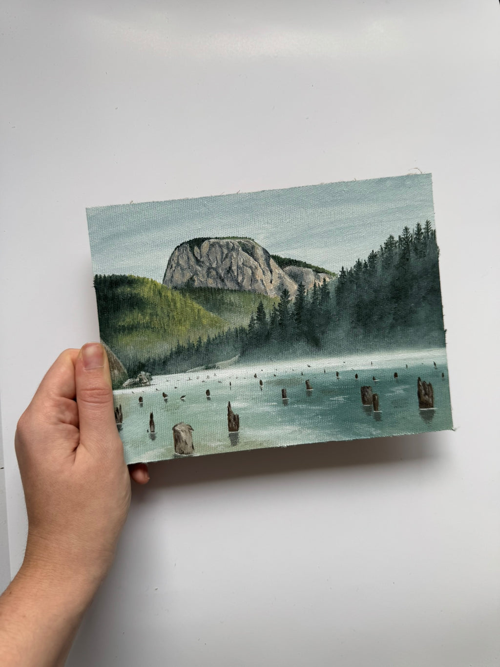 Saint-Anne Lake, Romania - 15x20 cm